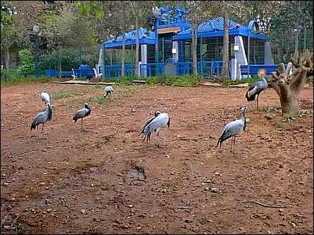 AGADIR zoo